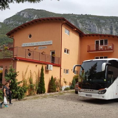 Pensiune Safrane Băile Herculane Exterior foto